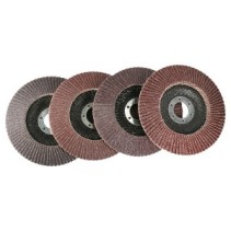 Ściernica listkowa talerzowa PRO-X